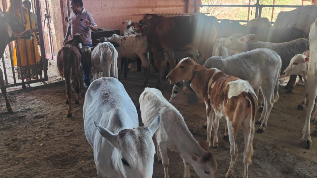 From Roadside to Safe Shelter